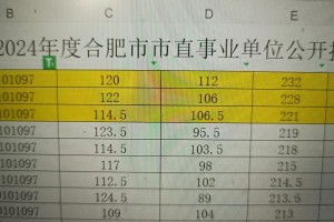 奇葩的考公考编经历+1