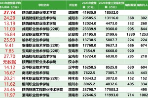 揭秘高校用人成本：陕西公办高职（2023）