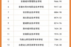 安徽2024年高职院校经费预算总收入TOP20！