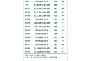 2024年成都市大学排名一览表