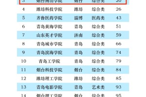 2023年烟台南山学院排名_评级