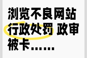 浏览不良网站政审被卡 …意难平