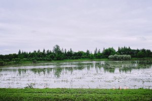 弱弱吐槽一下复旦成教（夜大）