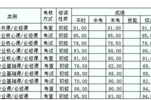 大学平时分真就乱打呗