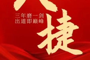 不吹不黑！数据分析师大双语到底行不行？