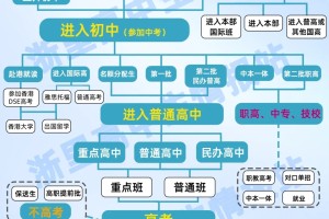 一张图就把小学到大学的升学途径说明白了？