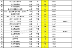 2024湖北历史类:湖北高校投档线排名！