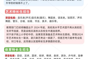 大部分家长都不知道的三大升学赛道