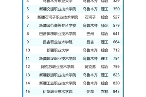 2024年新疆高职院校排名揭晓