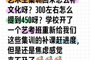 文化分怎么从300左右提升到450？