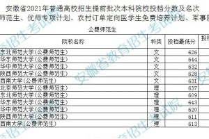 合肥某头部小学招聘新老师，内卷和淘汰