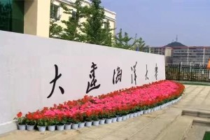 专科考研最容易上岸的学校之大连海洋大学