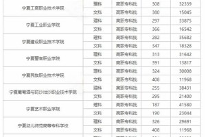 宁夏专科学校排名及分数线一览表2024