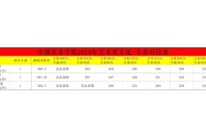 录取分数25考生看过来不校考美院需要多少分