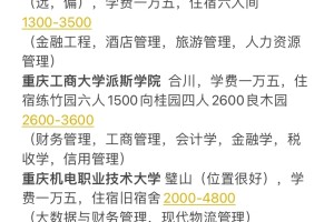 重庆专升本民办选哪个，民办能了解到的