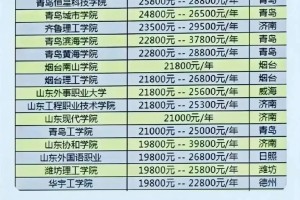 1 年 学费 62000 ，谁才是山东的学费之王