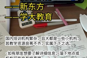 三大培训机构围攻光明顶，谁的实力更强？