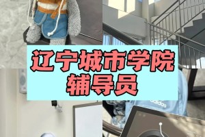 沈阳神仙单位｜辽宁城市学院捞人啦！