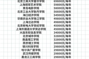 艺术类专业民办院校学费排名