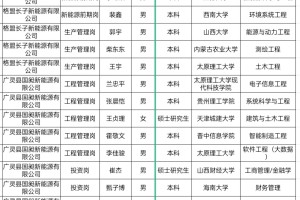 2024年山西国际能源集团社会招聘录用名单