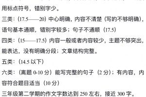 大家觉得这个作文评分标准怎么样？