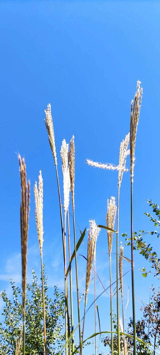 手机全屏护眼壁纸 风景