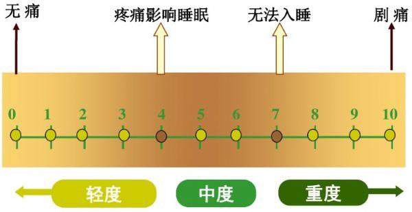 拳击比赛能打裆部吗