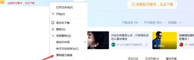 怎么下载版权方要求无法下载的文件，如何解决应版权方要求文件无法下载？