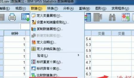 spss怎么进行数据排序，SPSS中如何对数据进行排序？