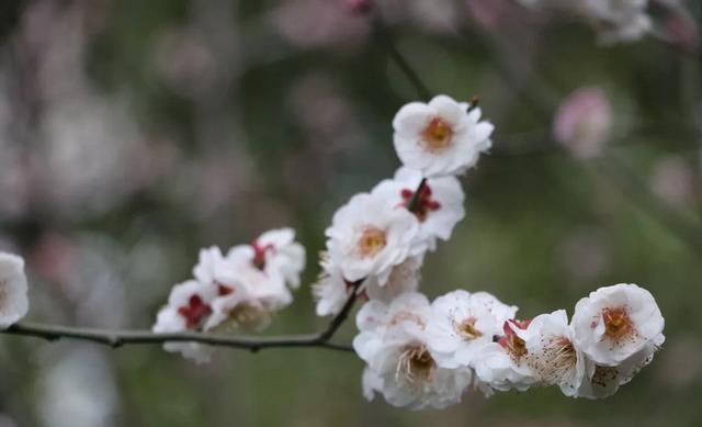 重度焦虑症的自我治疗，轻度焦虑怎么自我治疗