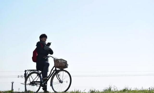 空巢青年是单身吗，空巢青年现状