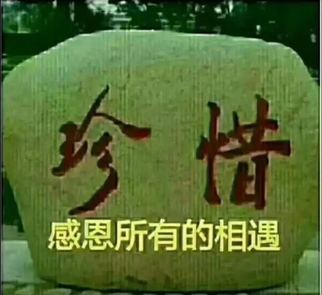 人为什么活着,人活着是为了什么，人为啥活着,活着为了啥