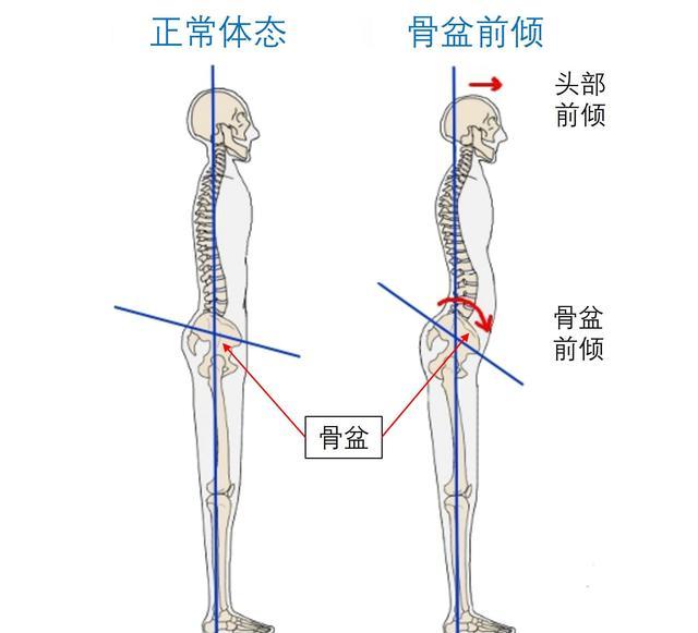 练腹肌的几种方法，练腹肌的三种方法