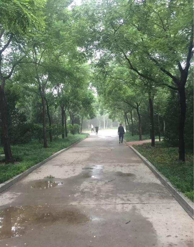 短跑和长跑姿势有区别吗，跑步有正确的跑姿吗?