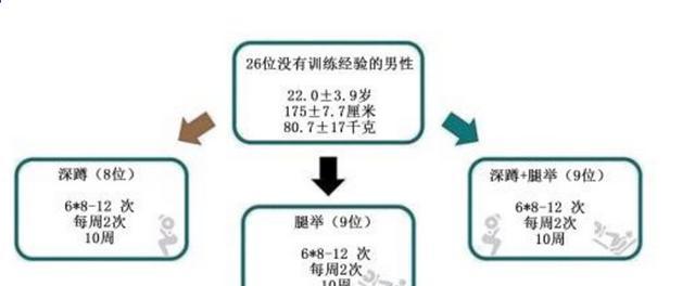 如何快速提高弹跳能力，怎么可以提高弹跳能力