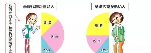 检查基础代谢挂哪个科，测基础代谢率挂什么科