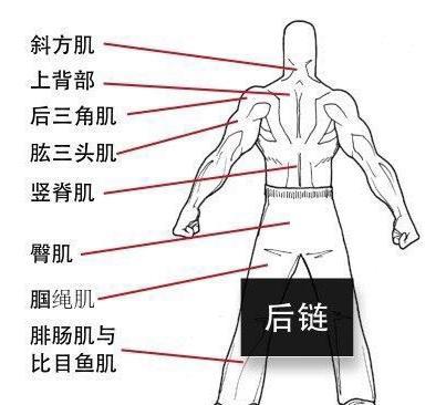 背部肌肉拉伸方法，背部主动拉伸动作