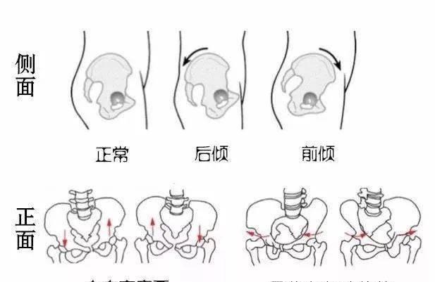 健身练臀有什么好处，健身锻炼臀部的好处