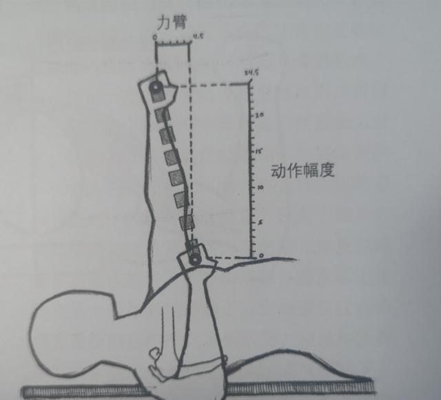 卧推的动作，卧推的动作要领和训练方法