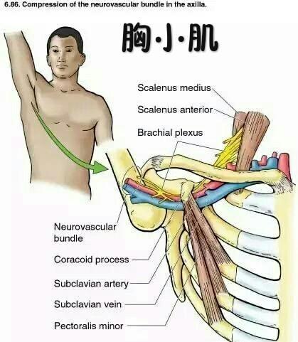 为什么反手引体向上比正手更简单，引体向上反手容易还是正手容易