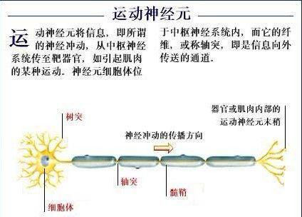 健身爆发力训练方法，运动训练学爆发力训练方法