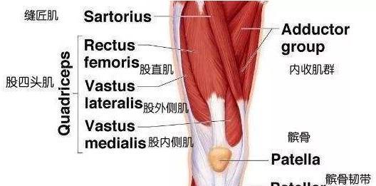 为什么靠墙半蹲可以治疗膝关节，膝关节炎能靠墙半蹲吗