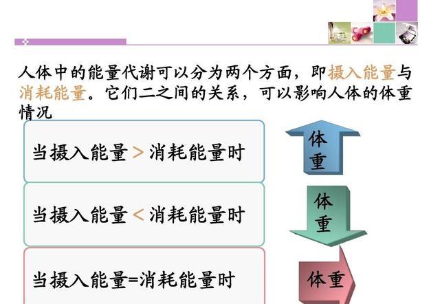 健身房减腹部赘肉用什么器械，健身房做什么器材锻炼腹部减肥