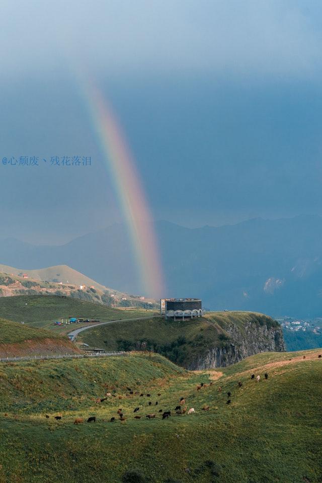 健身新手需要请教练吗，健身自己练还是请教练