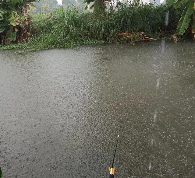 春天下雨天适合钓鱼吗，三月下雨天适合钓鱼吗