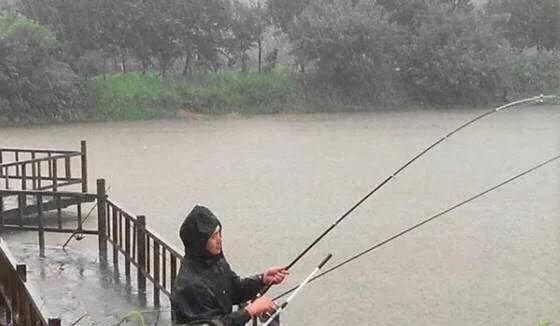 春天下雨天适合钓鱼吗，三月下雨天适合钓鱼吗