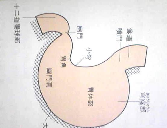 如何有效的训练腹肌，怎么有效的锻练腹肌