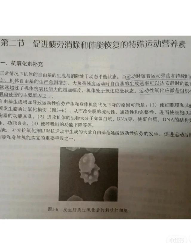 跑步和力量运动怎么配合好，跑步配什么力量训练