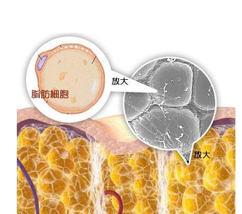 冬天是否适合健身，冬天适合健身嘛