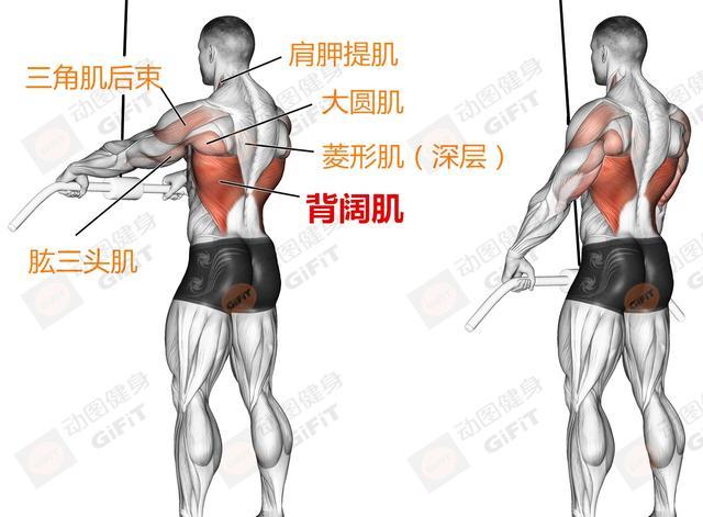 肩部训练如何避免斜方肌发力，练背斜方肌如何避免发力